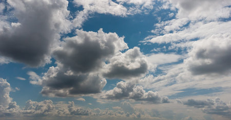 Woodland covered by clouds, forest area and trees.