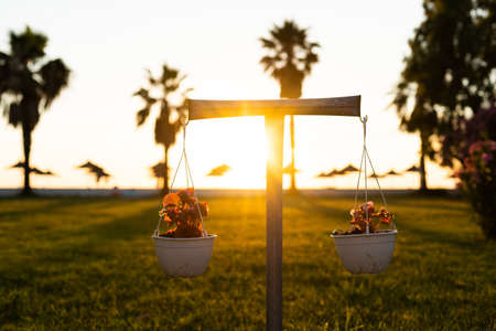 Evening view of the sea with sun loungersの写真素材