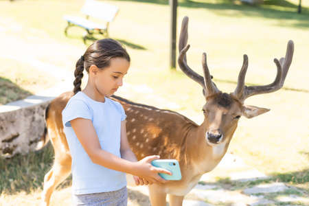 Exciting experience. Cute little girl watching and stroking young dappled deer with food while spending great time with her family in zoo. National Park. Animalsの写真素材