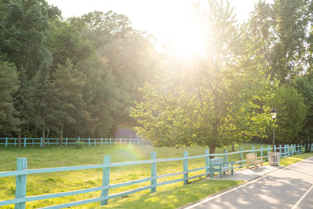 romantic bench in peaceful park in spring