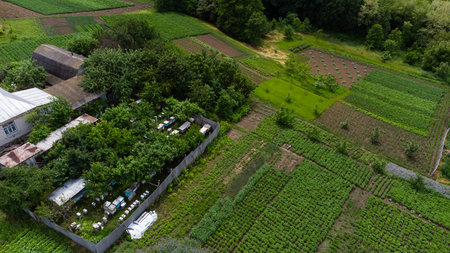 Aerial view of countryside landscape, farmland. Drone flying low over field. Rural scenery, farm....