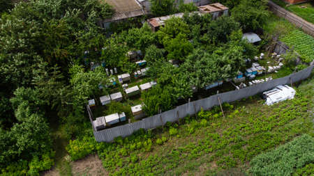 apiary near the house with a gardenの写真素材