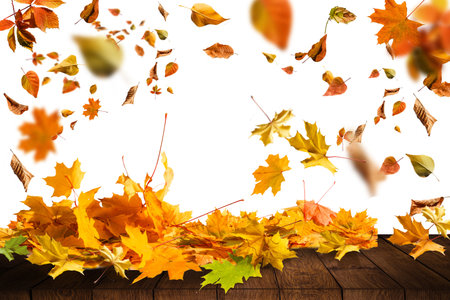 Colored autumn leaves on wooden planks