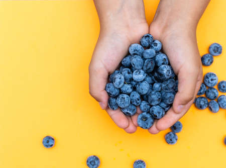 Kids palms with a handful of blueberries on a bright yellow background with place for textの写真素材