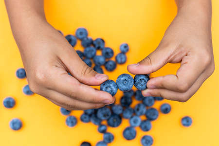 Woman hands hold blueberries. Pop art style.の写真素材