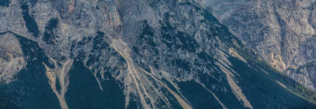 Idyllic landscape in the Alps with fresh green meadows, blooming flowers, typical farmhouses and snowcapped mountain tops in the background, Nationalpark Berchtesgadener Land, Bavaria, Germanyの写真素材