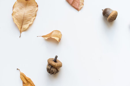 Autumn composition. Pattern made of autumn leaves, acorn, pine cones. Flat lay, top view.