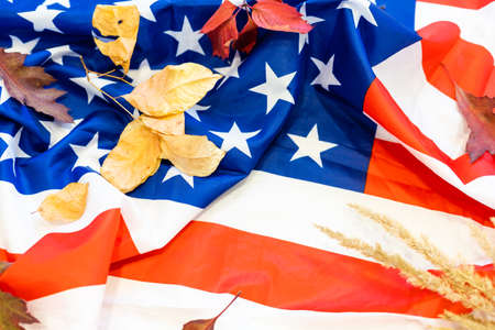 dry leaves and spikelets on the background of the flag of americaの写真素材