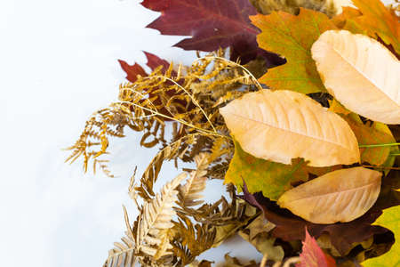 dried autumn leaves bouquet on white background, flat lay, top viewの写真素材