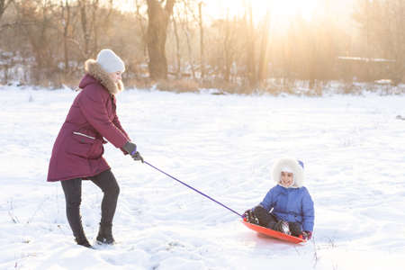 Sledding at winter time, mother carries daughter on a on ice sledの写真素材