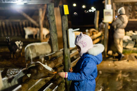 Cute little girl feeding a sheep at farm. Happy girl on family weekend on the country side. Friendship of child and animals.の写真素材