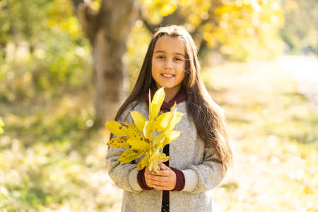 Adorable little girl outdoors at beautiful autumn dayの写真素材