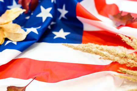 dry leaves and spikelets on the background of the flag of usaの写真素材