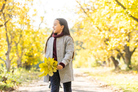 Adorable little girl outdoors at beautiful autumn dayの写真素材