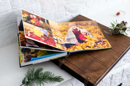 autumn photobook, yellow maple leavesの写真素材