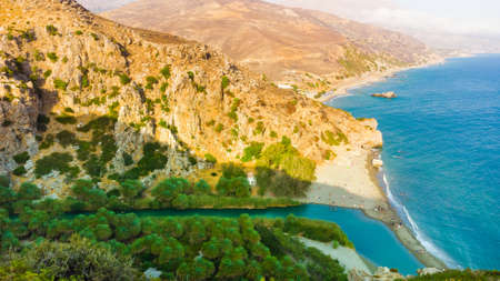 Palms near green river in Preveli, Crete island, Greeceの写真素材