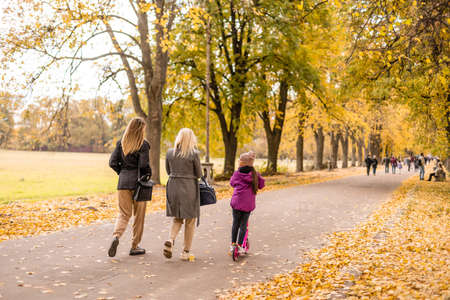 family, childhood, season and people concept - happy family playing with autumn leaves in parkの写真素材