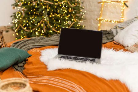 laptop stands near Christmas treeの写真素材