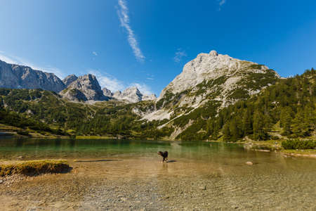 lake in summer of the Alps mountain austria.の写真素材
