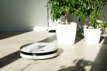 Robotic vacuum cleaner cleaning the roomの写真素材