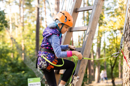 Girl climbing in adventure park is a place which can contain a wide variety of elements, such as...