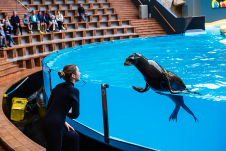 Loro park, Tenerife, Spain. January 7, 2020: Orcas performing in a swimming pool for the crowd.のeditorial素材