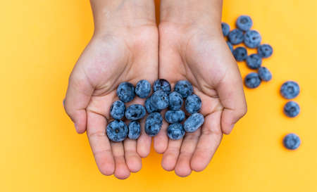 Kids palms with a handful of blueberries on a bright yellow background with place for textの写真素材