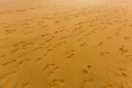 Footprints on the beach sand, leading away from the viewer into the seaの写真素材