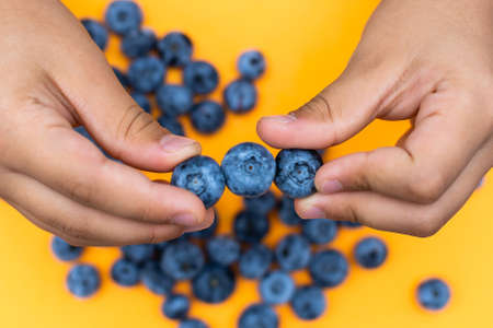 Kids palms with a handful of blueberries on a bright yellow background with place for textの写真素材