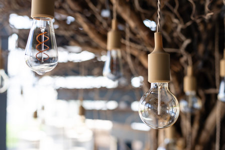 Light bulb decor in outdoor party