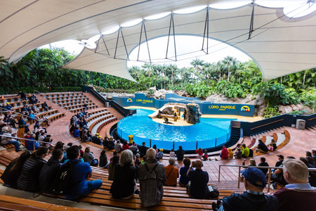 loro park, Tenerife, Spain; January 7, 2020: Sea Lions Show in Loro Parque.のeditorial素材