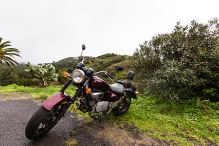 Motorcycles, beach, with palm trees