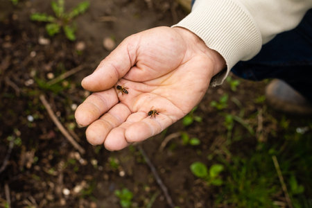 an elderly man holding a bee