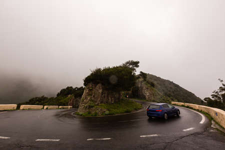 palm tree and the road in the rainの写真素材