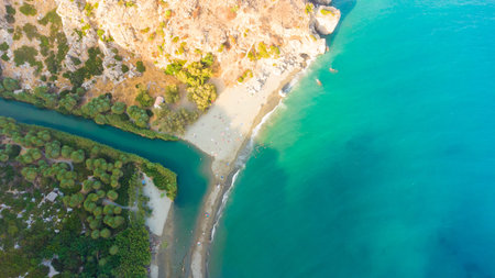 Palms near green river in Preveli, Crete island, Greece