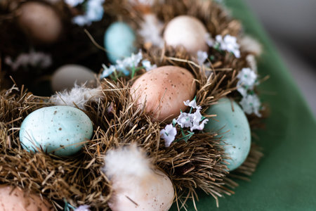 Bird nest of eggs for easter