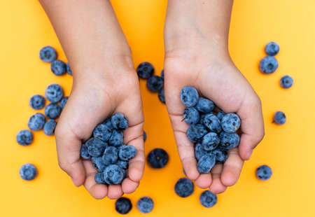 Kids palms with a handful of blueberries on a bright yellow background with place for textの写真素材
