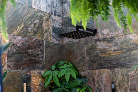 houseplants, palm trees in the interiorの写真素材