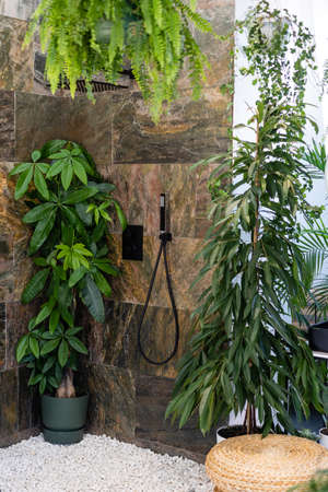 A fragment of the interior with potted indoor plants and palm trees. Home gardening. Houseplants and urban jungle concept.の写真素材