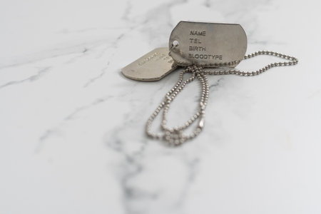 Pair of Blank Metal Tags. Isolated on a White Background.の写真素材