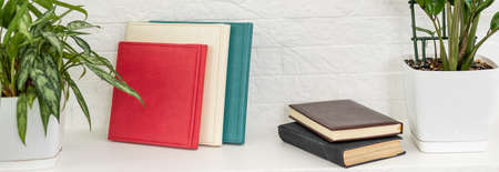 Old books on a shelf. No labels, blank spine.の写真素材