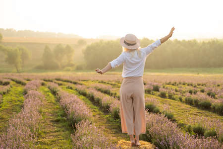 Young blond woman traveller wearing straw hat in lavender field surrounded with lavender flowers.の写真素材