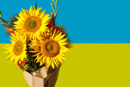 flag of ukraine, sunflowers are a symbol of Ukraineの写真素材
