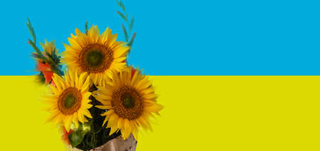 flag of ukraine, sunflowers are a symbol of Ukraineの写真素材