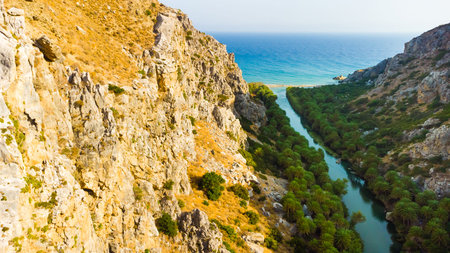 Palms near green river in Preveli, Crete island, Greeceの写真素材