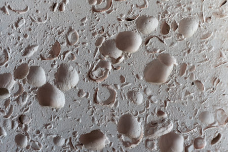 Textured wall lined with shell rock tiles.