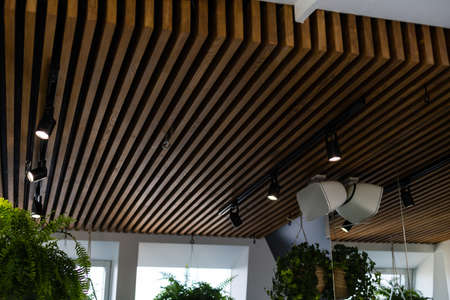 Light bulb with wooden minimal ceiling lamp design in warm green and wooden home background, with blank copy space.の写真素材