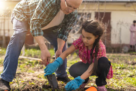 A small girl with grandfather outside in spring nature, having fun. gardeningの写真素材