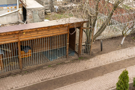 aviary for dogs, a large plot with a house for huskies, on the street in the yard.の写真素材