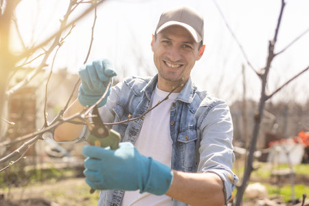 Professional gardener pruning a tree